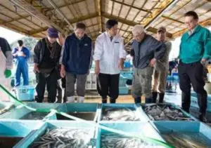 紀伊長島港（魚市場）