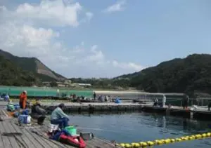 海上釣り堀「正徳丸」