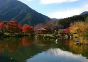 種まき権兵衛の里